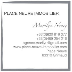 Logo de l'agence Place Neuve Immobilier