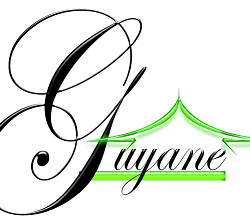 Logo de l'agence SPGRI Service Plus Guyane Relocation Immobilier