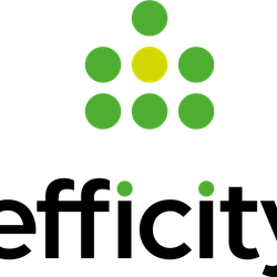 Logo de l'agence Efficity Immobilier Menard Michel consultant Immobilier