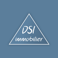 Logo de l'agence Direct Service Immobilier DSI