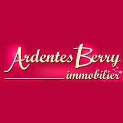 Logo de l'agence ARDENTES BERRY IMMOBILIER