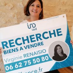Logo de l'agence Virginie Renaisio IAD France