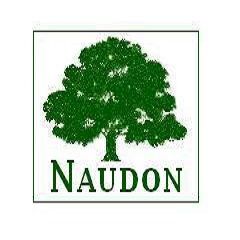 Logo de l'agence Naudon Immobilier