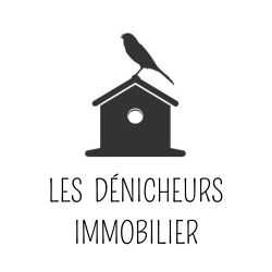 Logo de l'agence Les Dénicheurs Immobilier