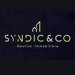 Logo de l'agence Syndic & Co