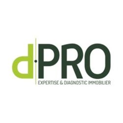 Logo de l'agence One Diag - Diagnostics immobiliers - Réseau d.PRO