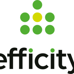 Logo de l'agence Efficity Valérie Tourgis Consultant Immobilier
