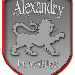 Logo de l'agence Alexandry Immobilier Mina Drutel Agent Commercial