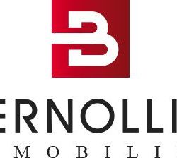 Logo de l'agence Attignat Immobilier Berno