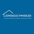 Logo de l'agence Domenjoud Immobilier SAS