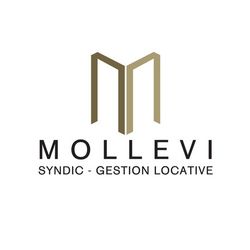 Logo de l'agence Cabinet Mollevi