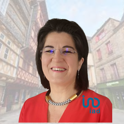 Logo de l'agence Fabienne Millet IAD immobilier