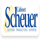 Logo de l'agence Agence Immobilière Scheuer