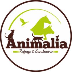 Logo de l'agence Animalia - Refuge & Sanctuaire